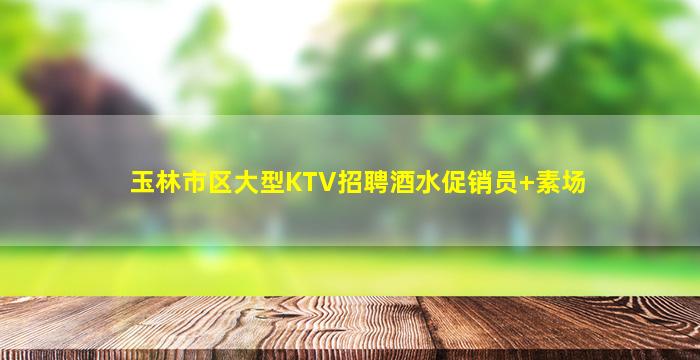 玉林市区大型KTV招聘酒水促销员+素场